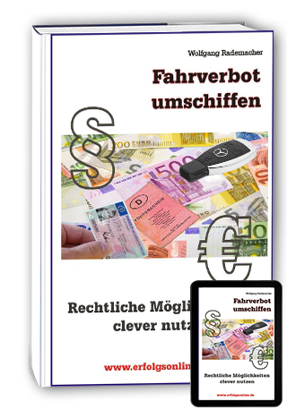 Cover: »Fahrverbot umschiffen«
